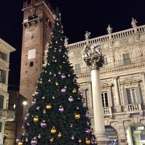 Meet your Posher, Bella